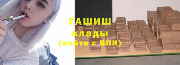 прущие грибы Бугульма