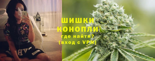 прущие грибы Бугульма